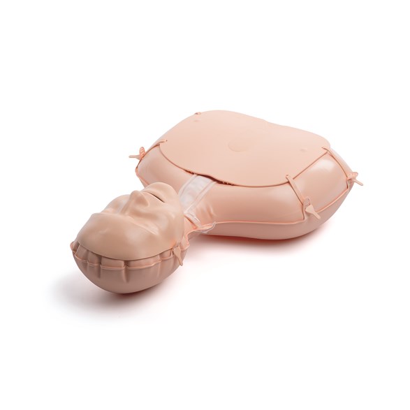 Mini Anne Plus