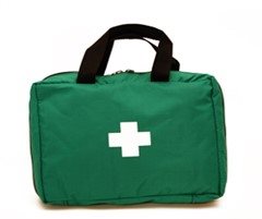 Lilla coachväskan